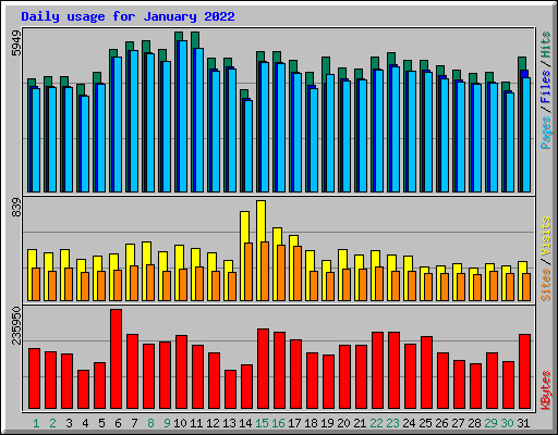 Daily usage for January 2022