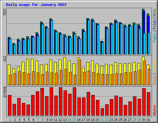 Daily usage for January 2023