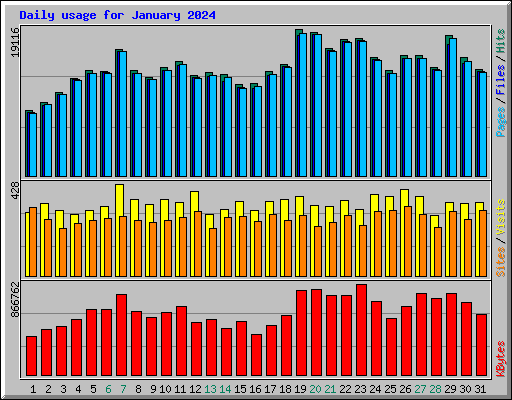 Daily usage for January 2024