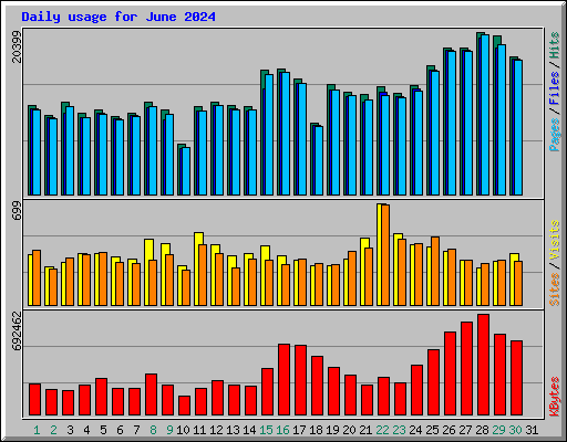 Daily usage for June 2024