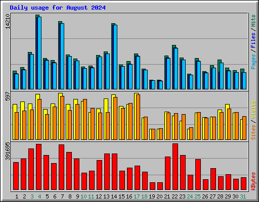 Daily usage for August 2024