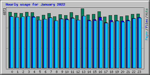 Hourly usage for January 2022