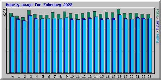 Hourly usage for February 2022