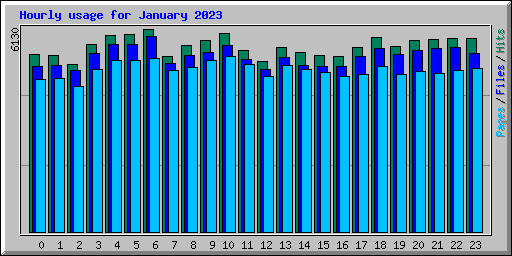 Hourly usage for January 2023