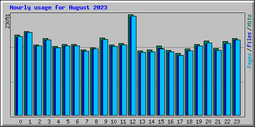 Hourly usage for August 2023