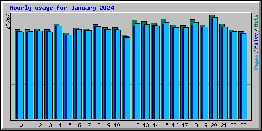 Hourly usage for January 2024