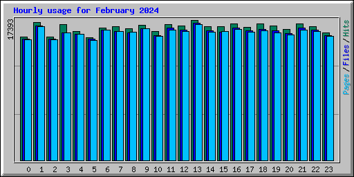 Hourly usage for February 2024