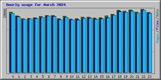 Hourly usage for March 2024