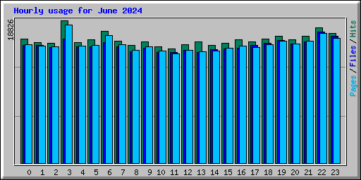 Hourly usage for June 2024