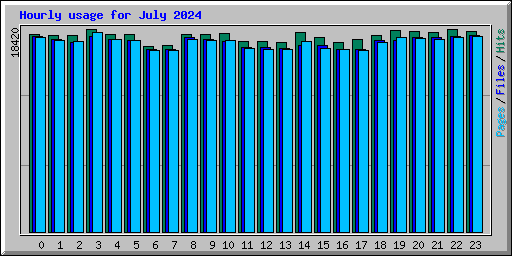 Hourly usage for July 2024