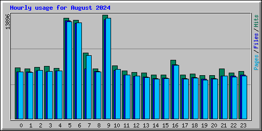 Hourly usage for August 2024