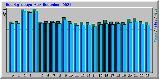 Hourly usage for December 2024