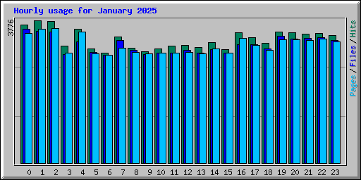 Hourly usage for January 2025